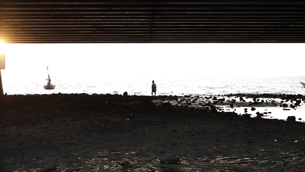 person standing on shore