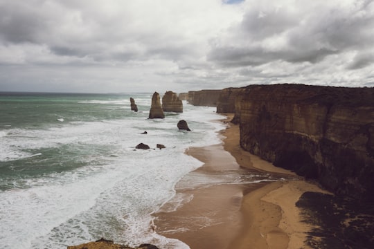 brown cliff near seashore in landscape photography in Twelve Apostles Marine National Park Australia