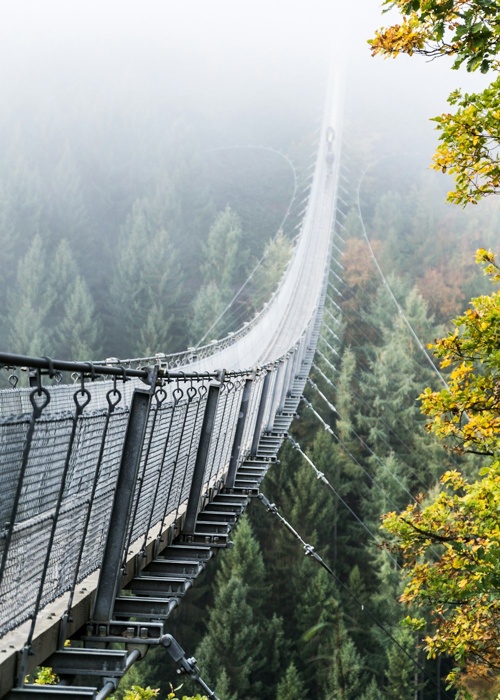 gray metal bridge