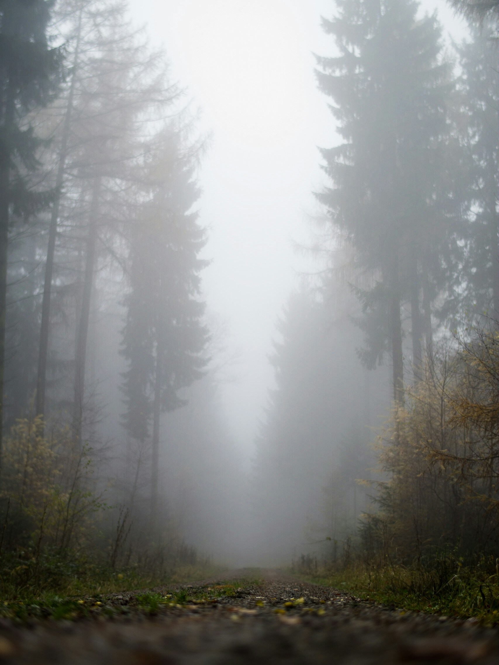 photo-1511440753624-d71a09692618