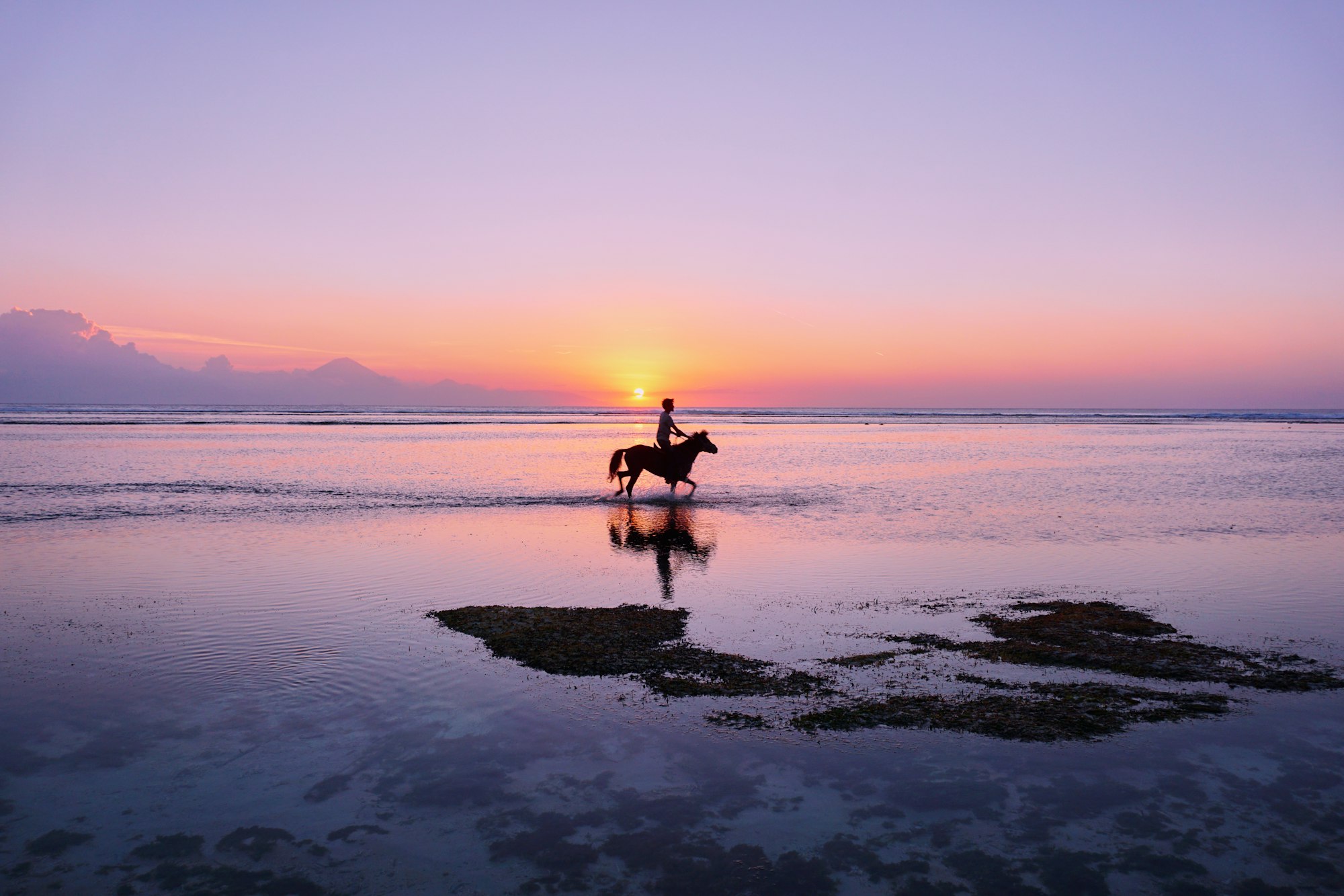 A local young man enjoying a horse ride at sunset in the sea, in the west coast of Gili Trawangan.