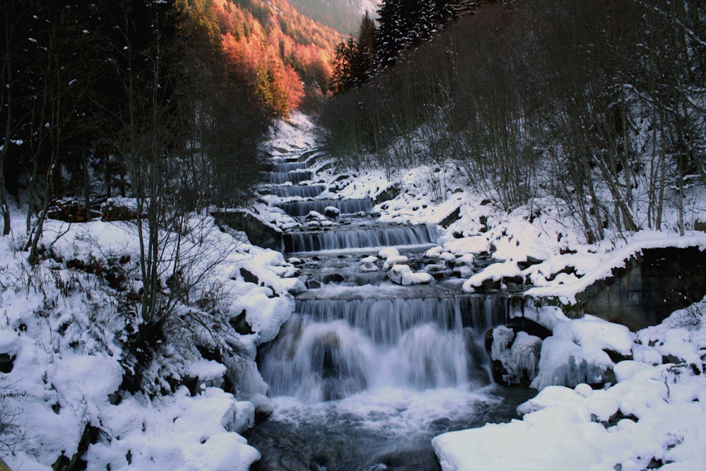 waterfalls between leafless trees and ground covered with snow