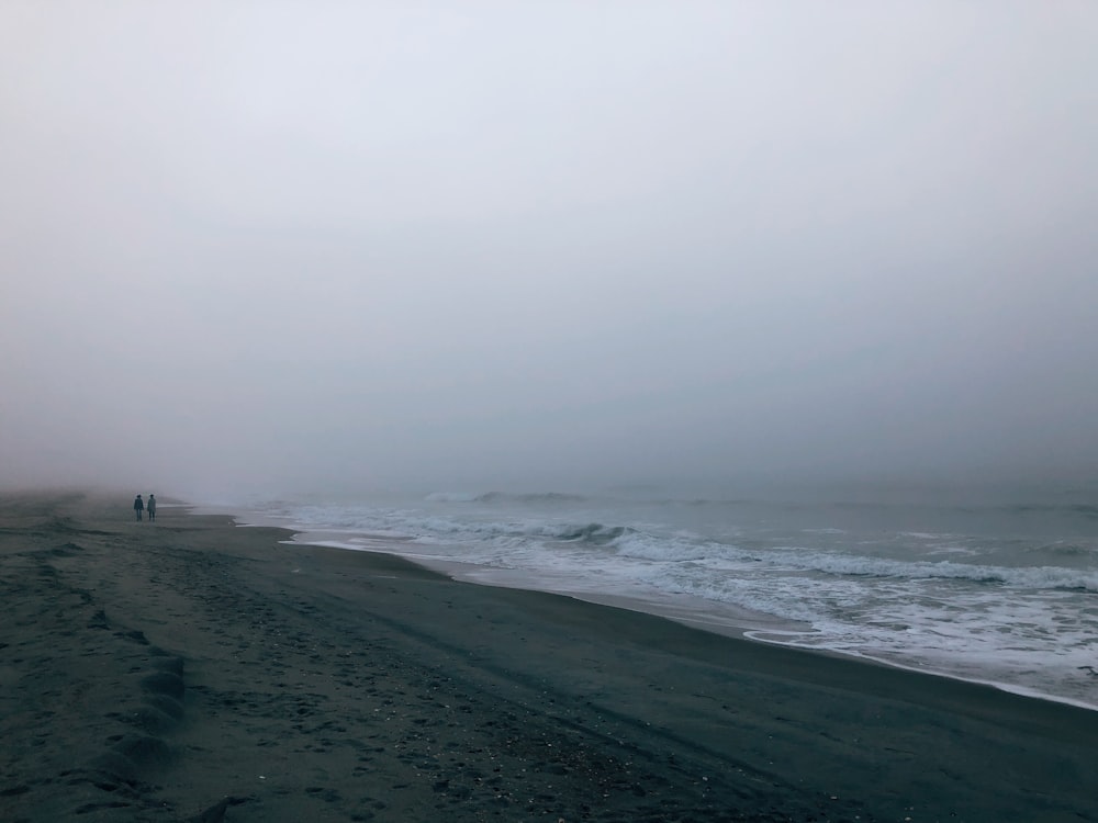 seashore under gray sky