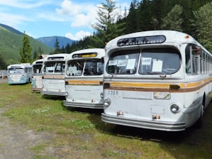 A fleet of modern buses parked in a scenic location.