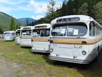 A fleet of hire driver vehicles parked in a scenic location.