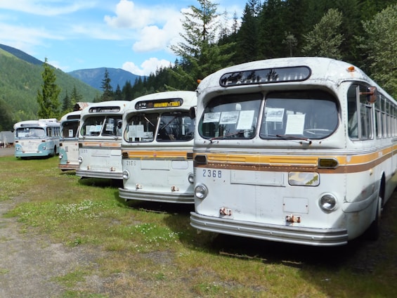 A fleet of modern buses parked in a scenic location.