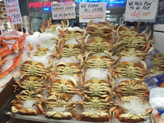 Volunteers in aprons cracking open crabs and serving smiles at the bustling ticket booth.