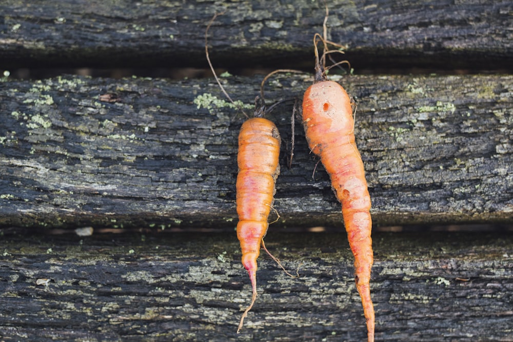 two red carrots