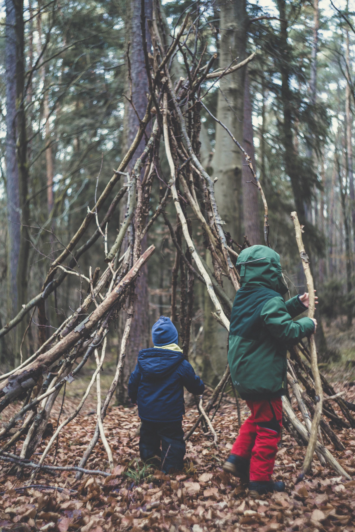 Two children exploring together in woodland