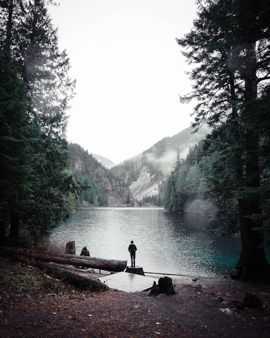 man standing on wood near mountain range in Lindeman Lake Canada