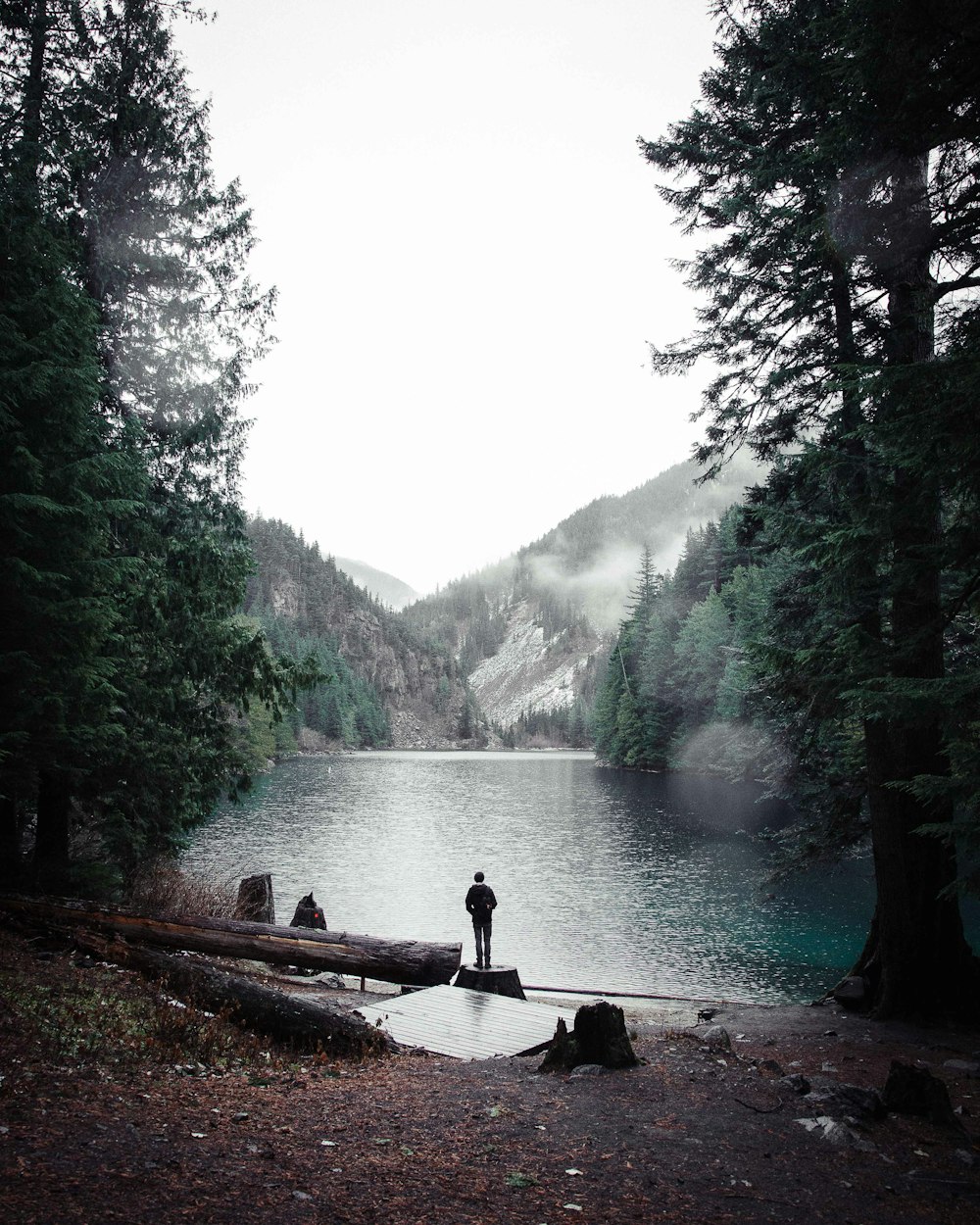 man standing on wood near mountain range