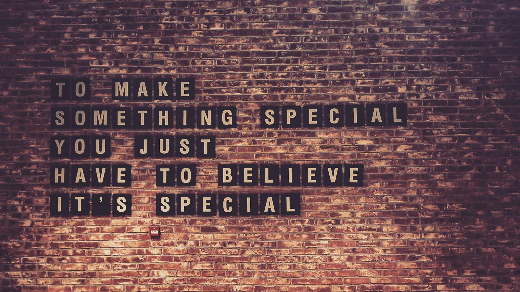 Phrase "to make something special you just have to believe it's special" écrite sur un mur en briques