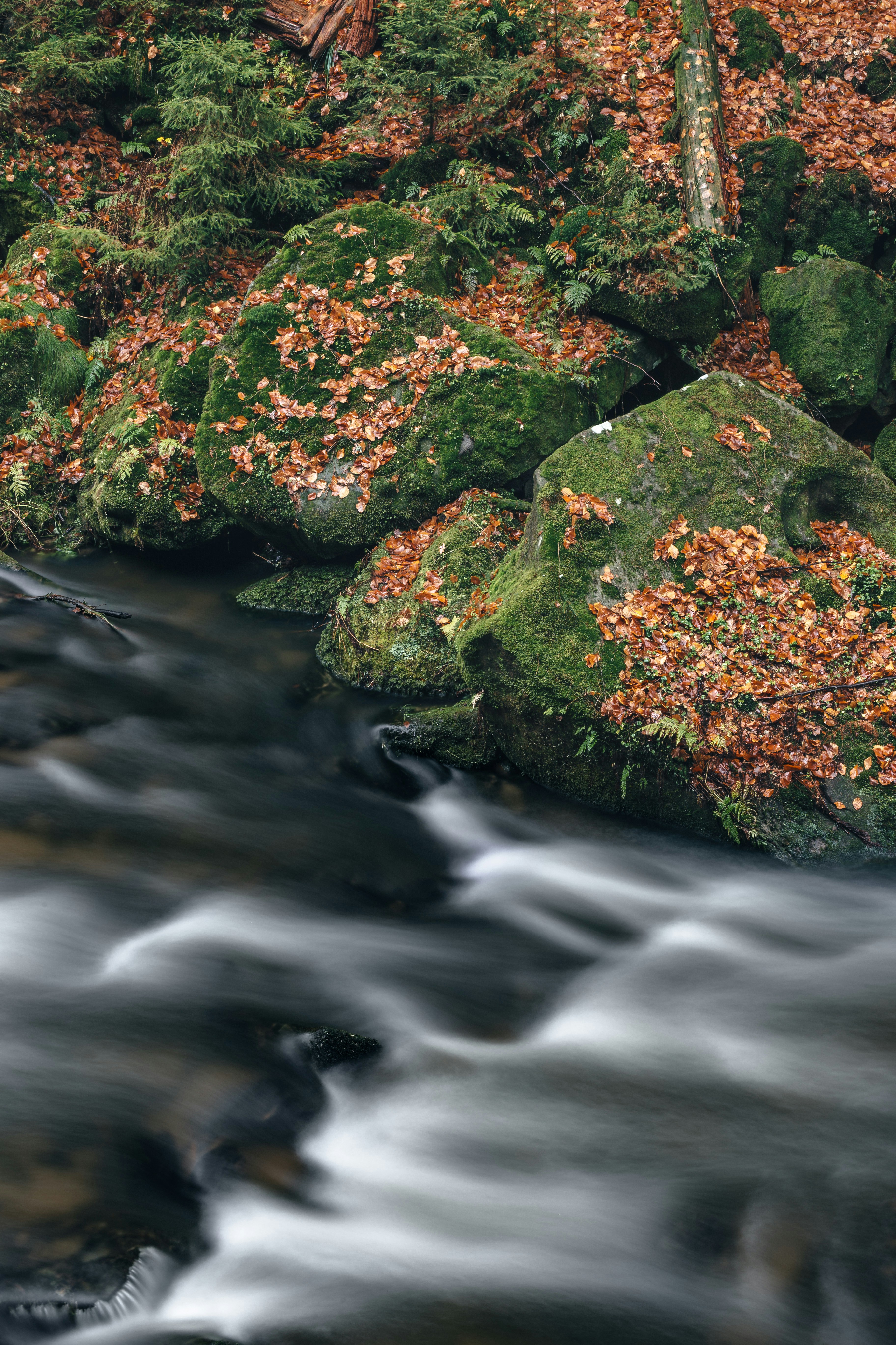 Foto de paisaje de río