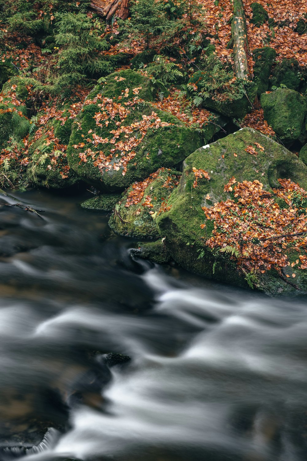 landscape shot of river