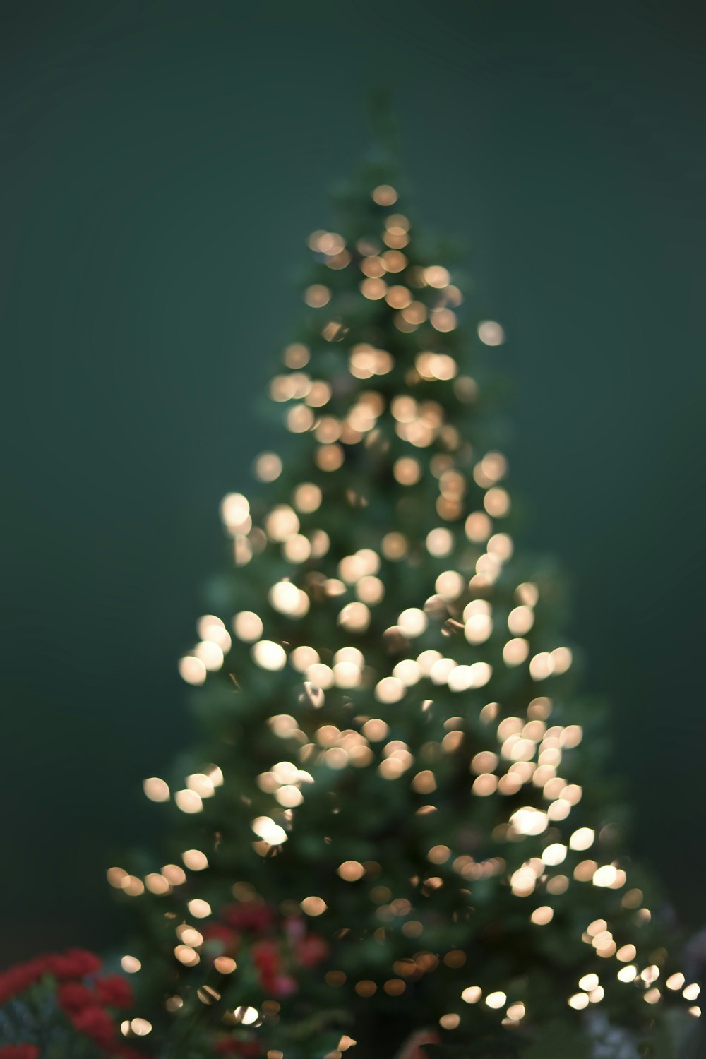 Fotografia Boke da árvore de Natal e luzes de corda