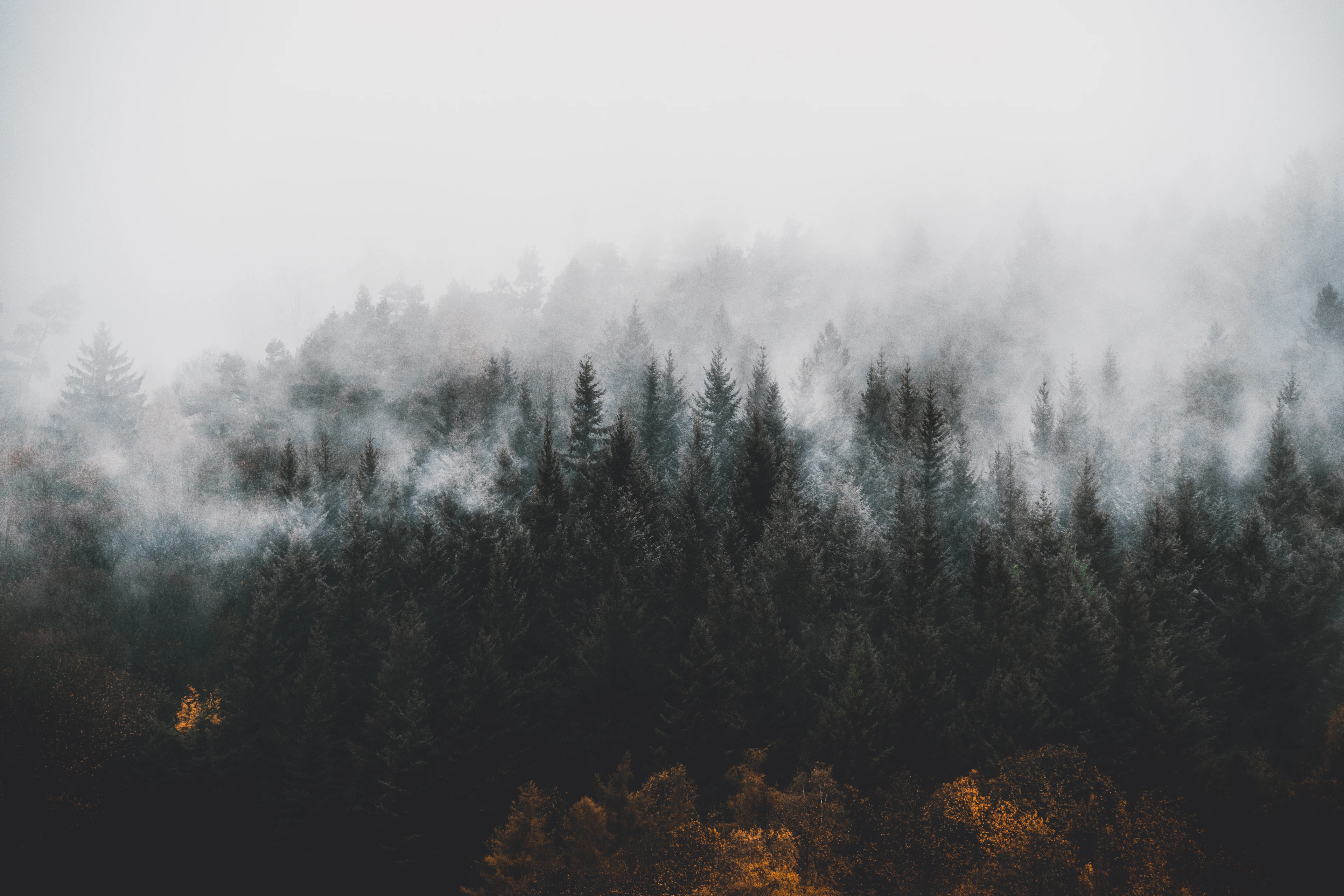 Germany — photo 2