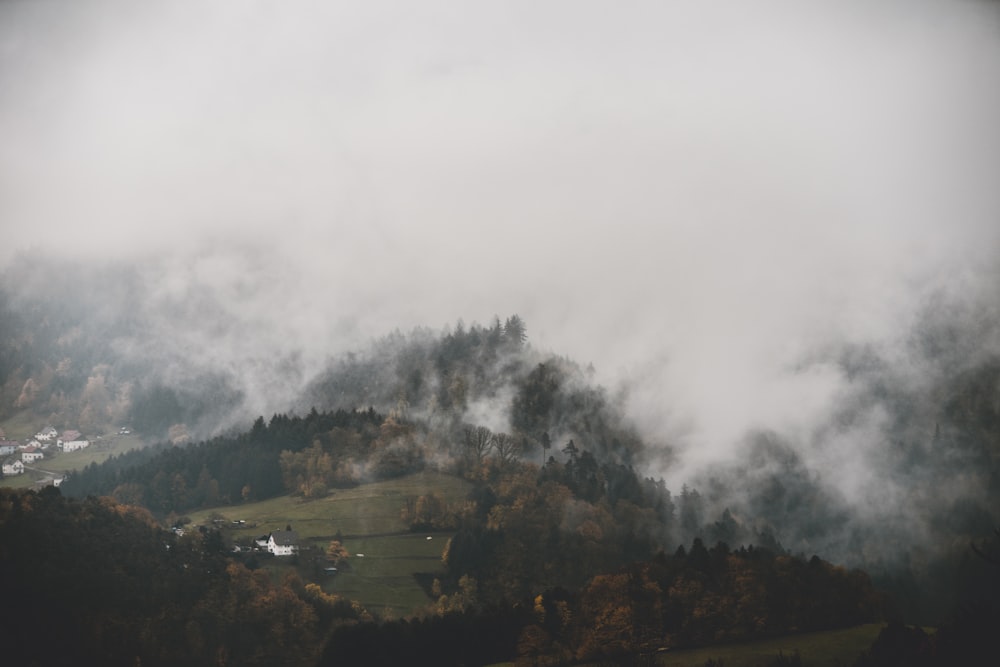 building surrounded by trees background of mountain view