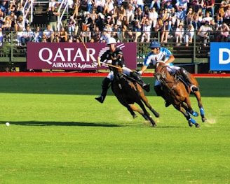 two person riding horse during daytime