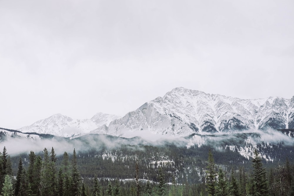 photo de paysage de montagne enneigée