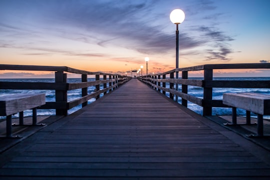 brown wooden dock under blue sky in Ostseebad Rerik Germany