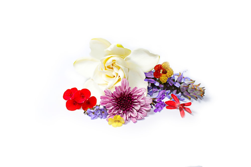 assorted-color flowers digital wallpaper