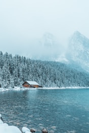 brown wooden house between trees and body of water during winter