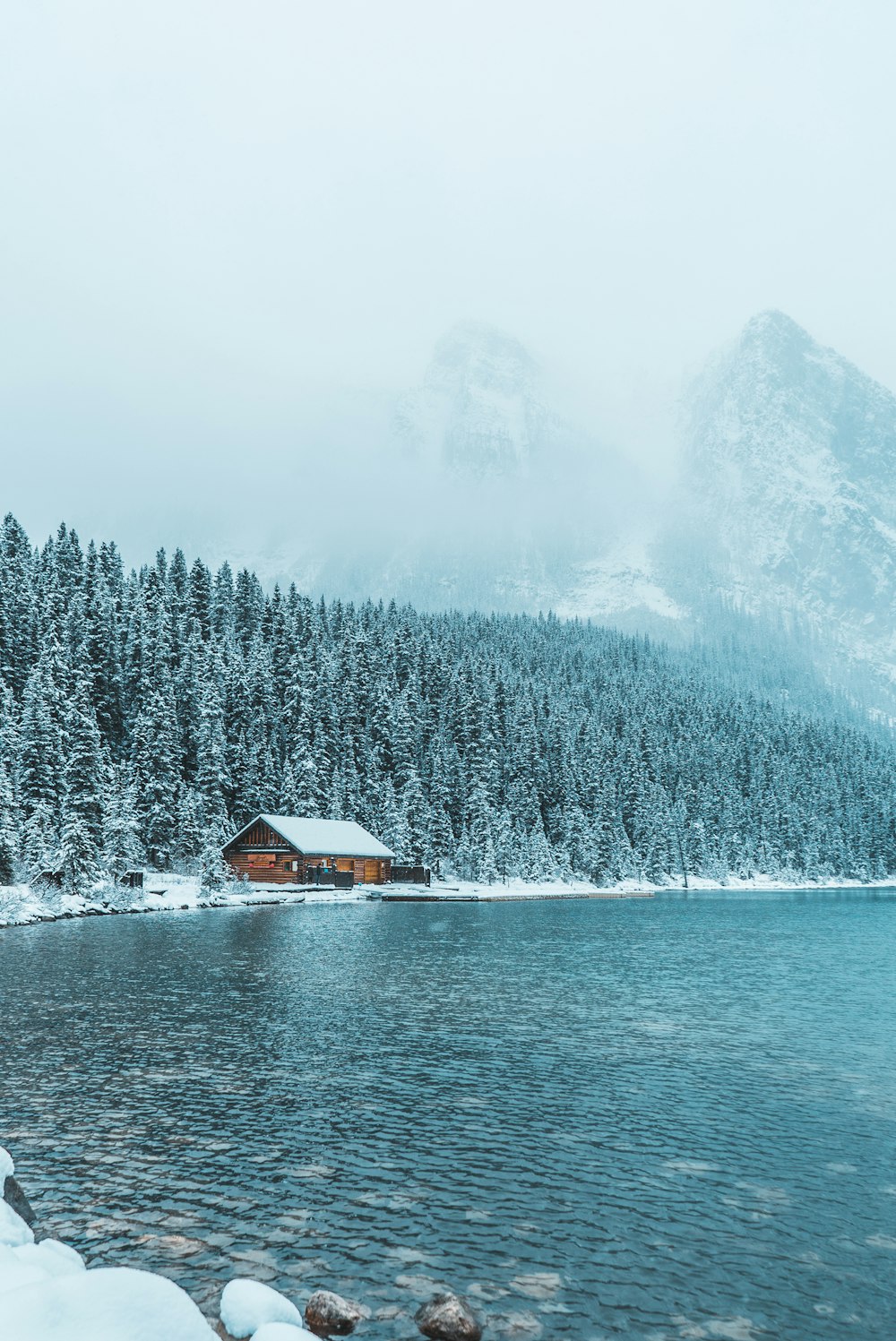 maison en bois brun entre les arbres et le plan d’eau pendant l’hiver