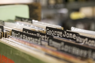 assorted file folder