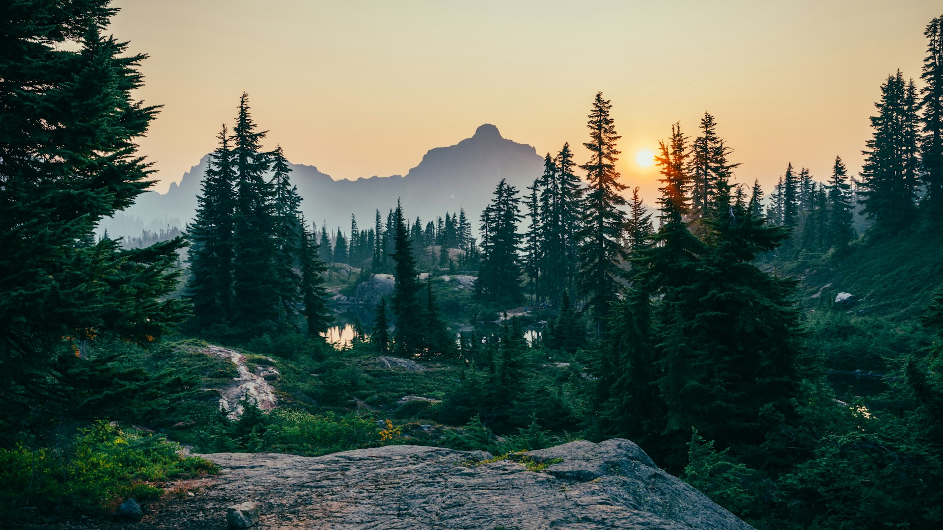 Environmental background
