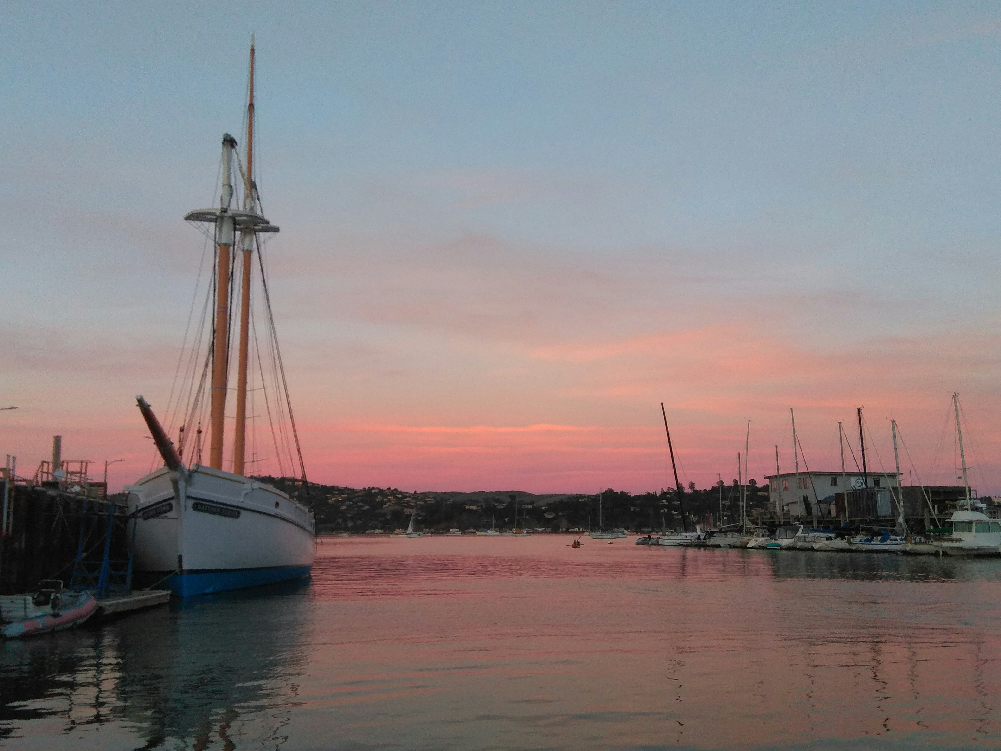 The Network Effect Illusion Most Founders Chase