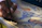 Close-up of a hand painting a delicate watercolor floral pattern on digital wallpaper.