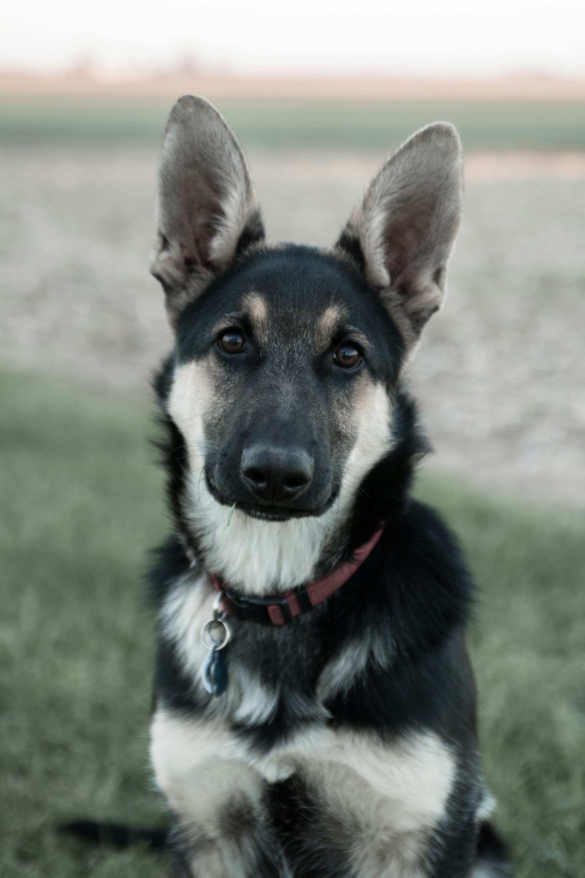 gray computer monitor