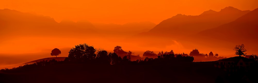 silhouette of trees with mountai n in distance