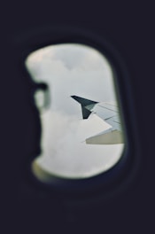 Porque sentimos miedo a volar