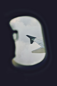 Porque sentimos miedo a volar