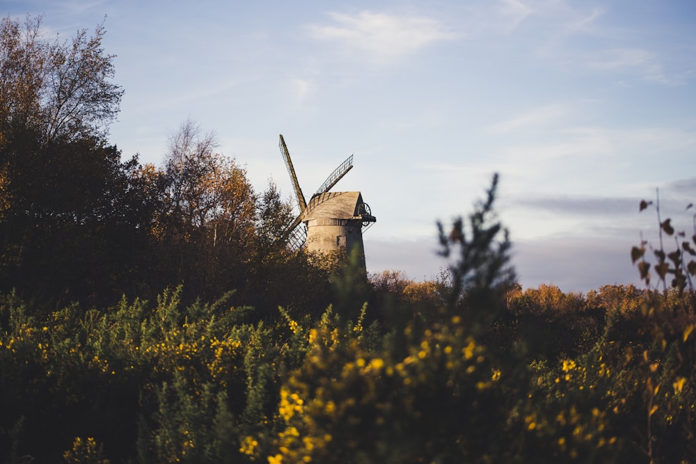Braune Windmühle auf Rasen