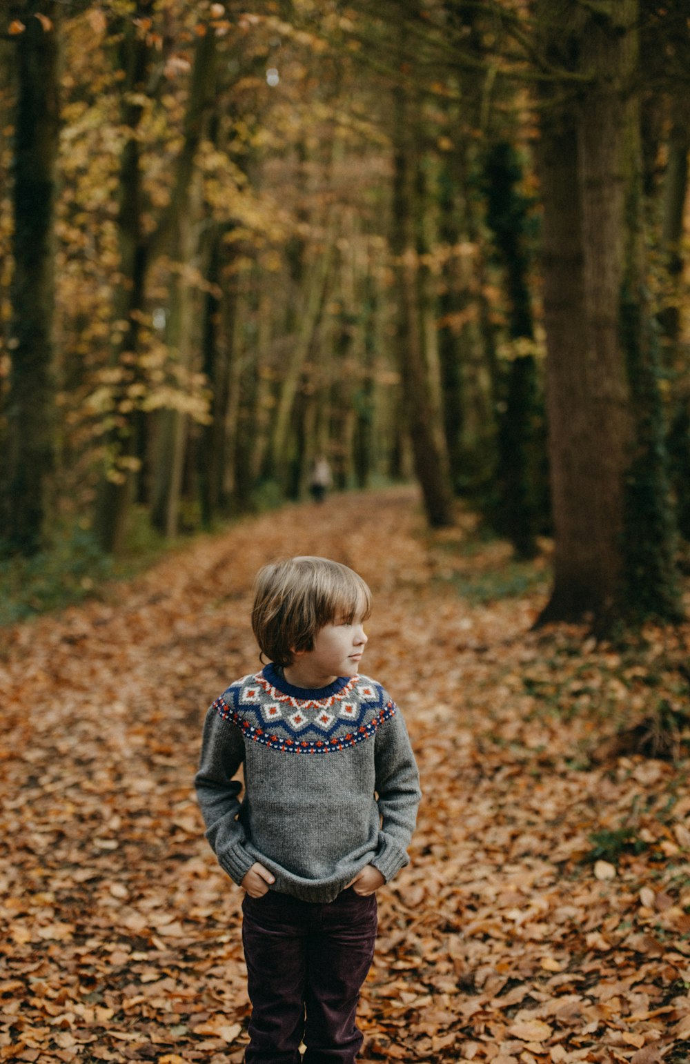 ポケットに手を突っ込んだ少年が、秋の季節に木々の近くで左手を見つめている