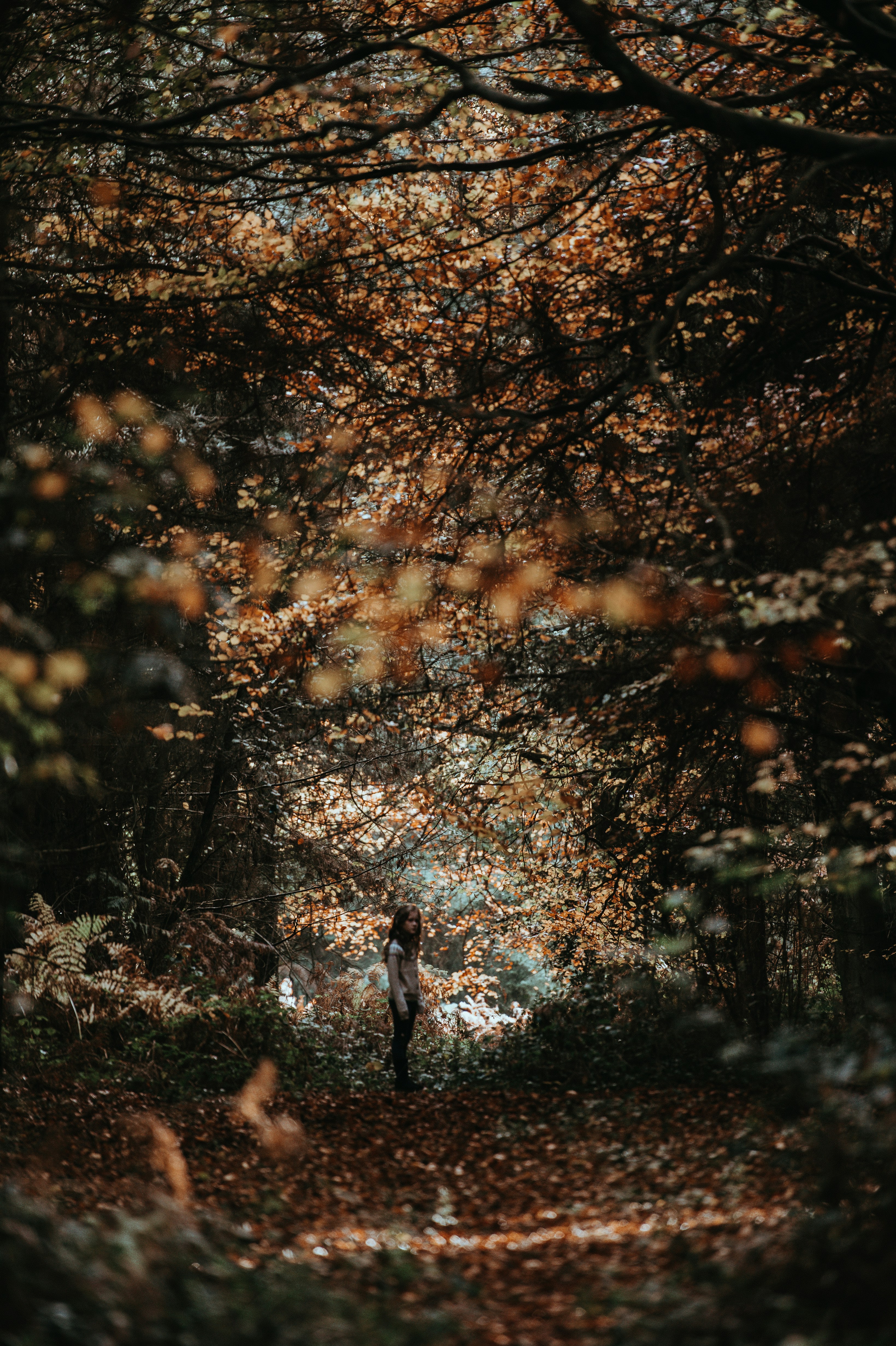 photo of girl standing between tall trees