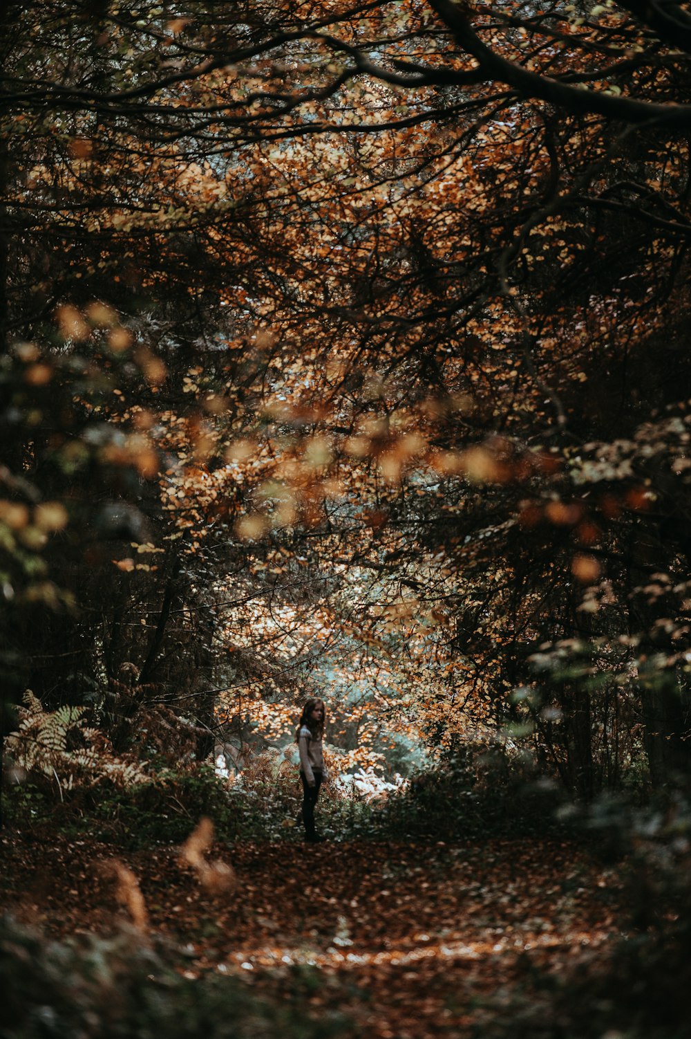 photo of girl standing between tall trees