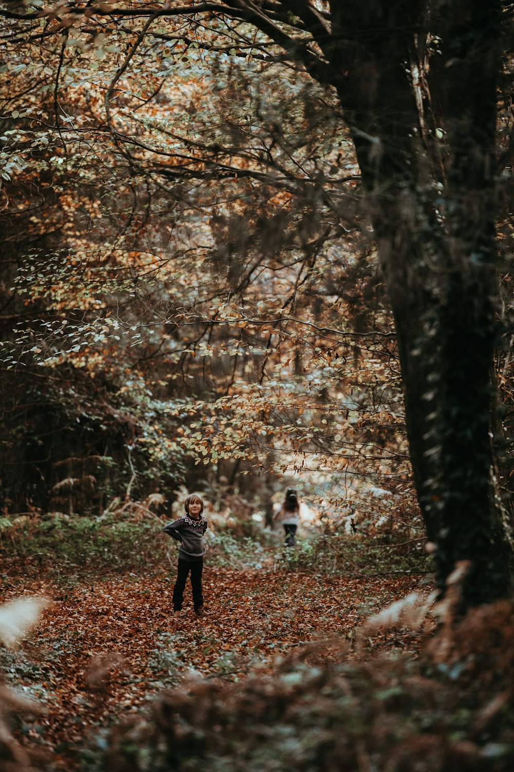 two kids standing in forest with fallen leaves