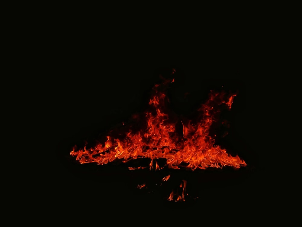 photo of bonfire during nighttime