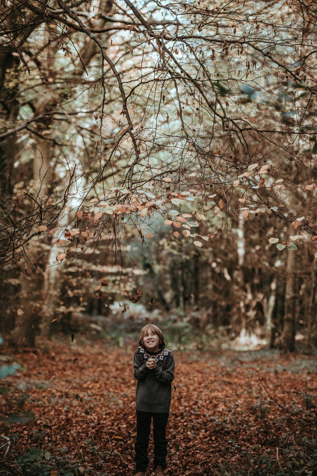 boy standing on dried leaves in forest