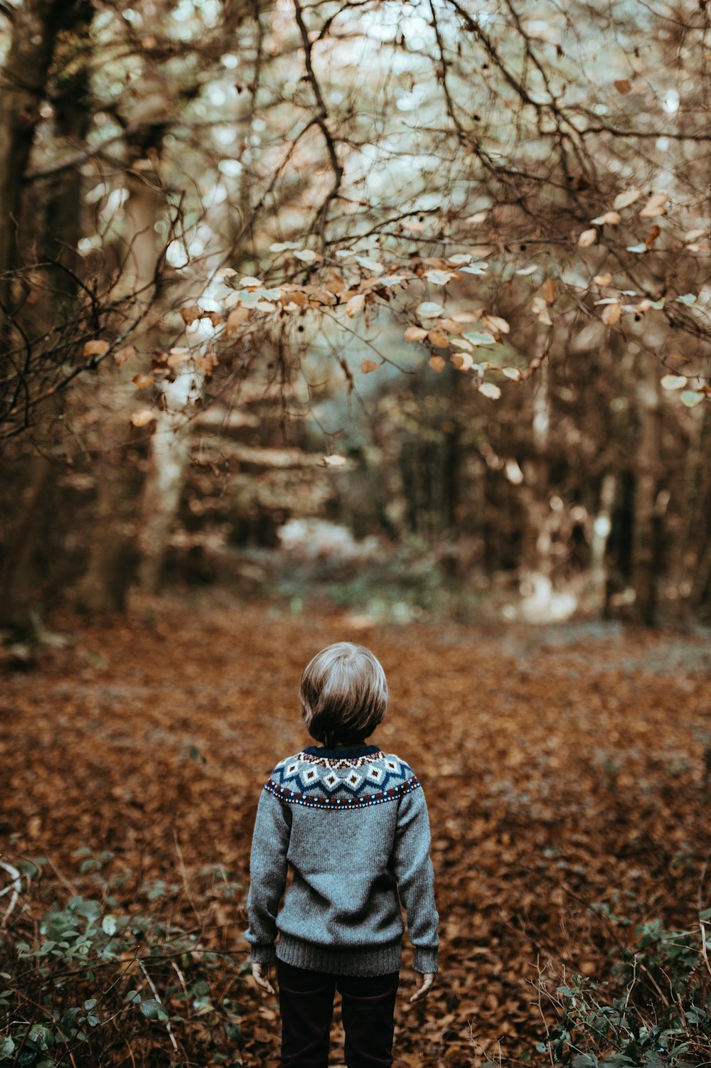 toddler underneath trees