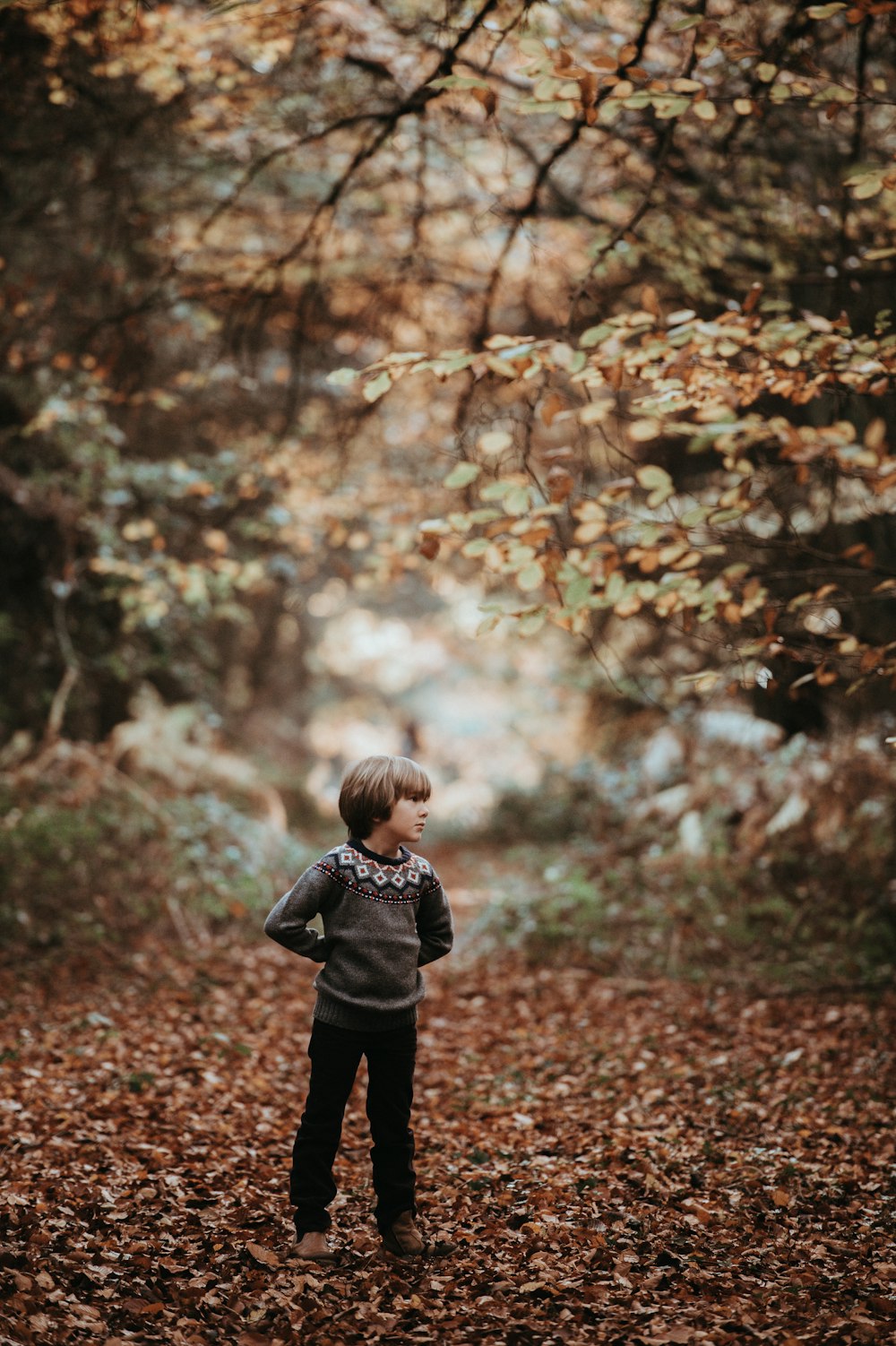 boy standing on dried leaves in forest