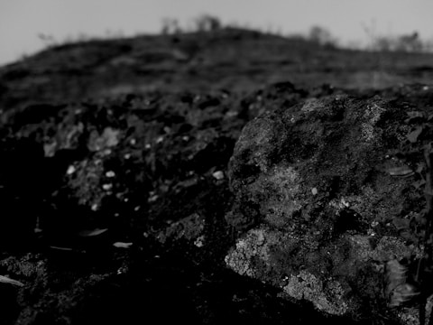 Close-up of geotextile fabric laid over rugged terrain with mountain backdrop.