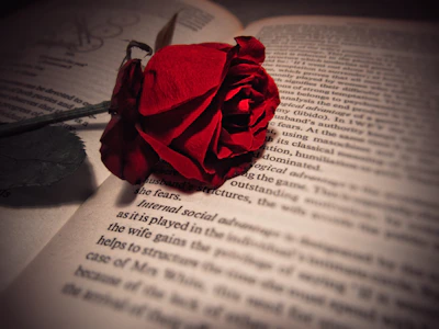 A moody, shadowed photograph of a leather-bound book resting on a dark wooden table, with a single red rose lying across its pages.