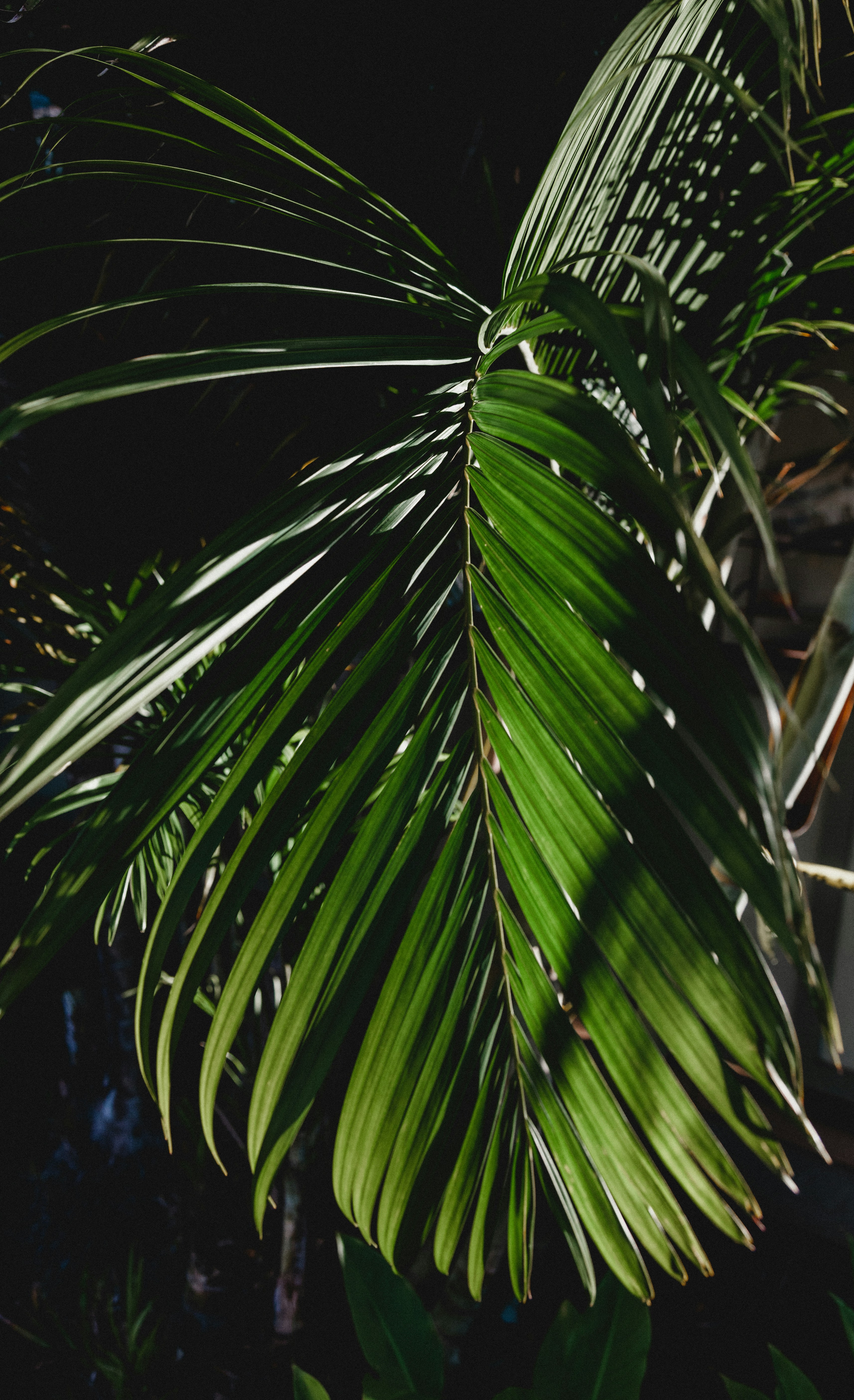 Photo by georgiadelotz