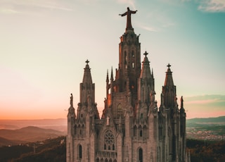 brown cathedral during daytime