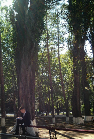 A smiling reader holding a bestselling book, immersed in the story at a sunny park bench.