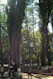 A young man reading 'Soy' on a park bench, sunlight filtering through the trees.